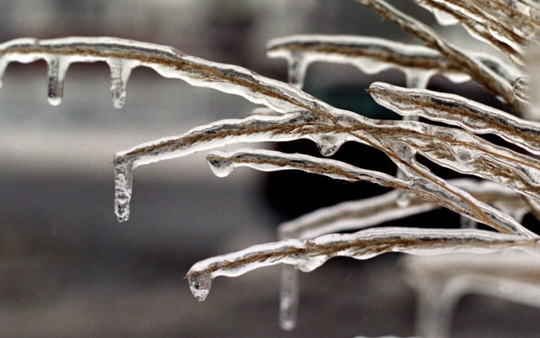 Service days and times affected by weather!