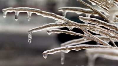 Service days and times affected by weather!